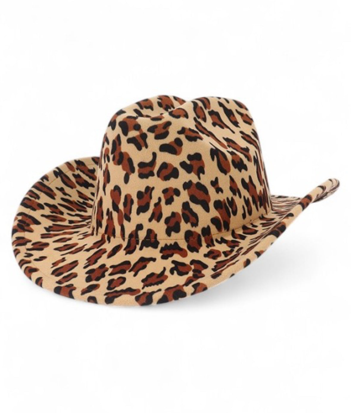 Run The Wild Fedora Hat