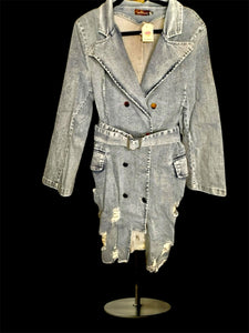 Bossed Up Blues Denim Dress (Plus)